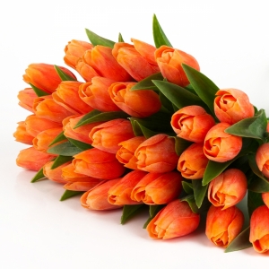 Tulipán oranžový kvet 40cm